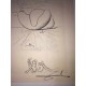 Salvador Dali litografia cm 50x70  firma matita