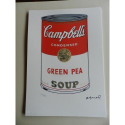 Andy Warhol Litografia ex. 125 cm 35x50