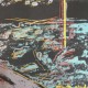 Andy Warhol cm 60x60 litografía CMOA ex. 2400