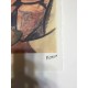 Pablo Picasso Spadem cm 28x38 edizione 250