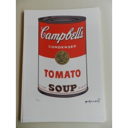 Andy Warhol Litografia ex. 125 cm 35x50