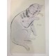 Andy Warhol Lithographie cm 57x38 Leo Castelli - GEORGES ISTRAEL EDITEUR