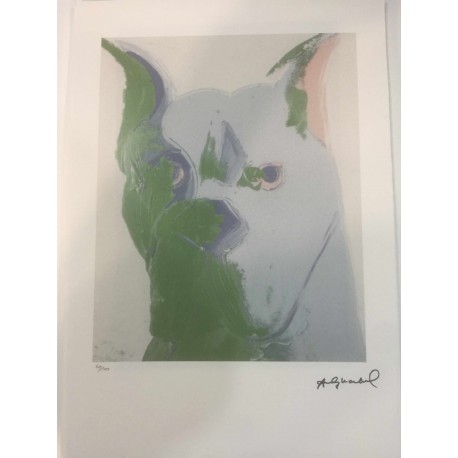 Andy Warhol Lithographie cm 57x38 Leo Castelli - GEORGES ISTRAEL EDITEUR