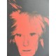 Andy Warhol Lithographie ex. 125 cm 35 x 50