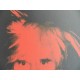 Andy Warhol Lithographie ex. 125 cm 35 x 50