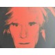 Andy Warhol Lithographie ex. 125 cm 35 x 50