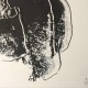 Andy Warhol cm 60x60 lithograph CMOA ex. 2400