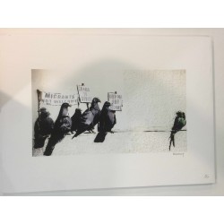 Banksy 50x70 cm edición POW - Banksy con certificado