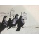 Banksy 50x70 cm POW edition - Banksy with certificate