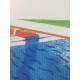 David Hockney lithograph 50x35 cm Spadem edition with certificate