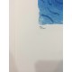 David Hockney lithograph 50x35 cm Spadem edition with certificate