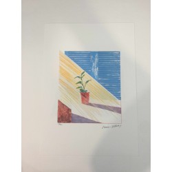 Litografía David Hockney 50x35 cm Edición Spadem con certificado