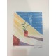 Litografia de David Hockney 50x35 cm edição Spadem com certificado