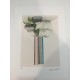 David Hockney Lithographie 50x35 cm Spadem Edition mit Zertifikat