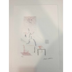 David Hockney lithografie 50x35 cm Spadem editie met certificaat