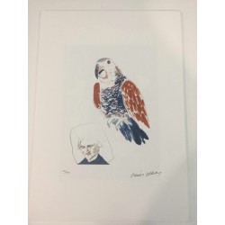 David Hockney lithografie 50x35 cm Spadem editie met certificaat