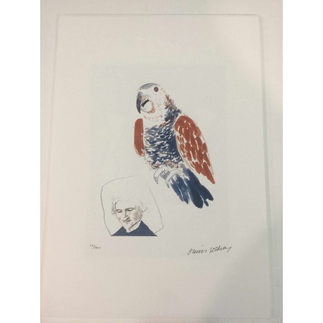 David Hockney litografia 50x35 cm edizione Spadem con certificato
