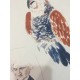 David Hockney lithografie 50x35 cm Spadem editie met certificaat