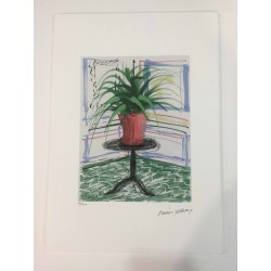 David Hockney litografie 50x35 cm edice Spadem s certifikátem