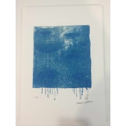 Litografia David Hockney 50x35 cm Edició Spadem amb certificat