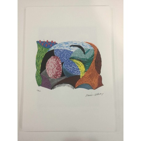 David Hockney lithograph 50x35 cm Spadem edition with certificate