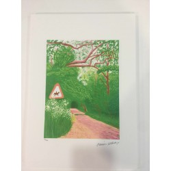 David Hockney Lithographie 50x35 cm Spadem Edition mit Zertifikat