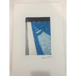 David Hockney Lithographie 50x35 cm Spadem Edition mit Zertifikat