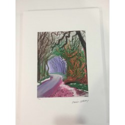 David Hockney litografia 50x35 cm edícia Spadem s certifikátom