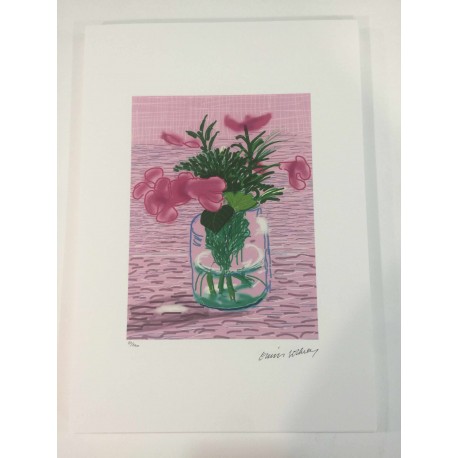 David Hockney lithograph 50x35 cm Spadem edition with certificate