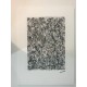 Jackson Pollock lithograph 50x70 cm Spadem edition