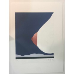 Tom Wesselmann litografia 50x70 cm ediz. Spadem