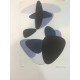 Victor Vasarely lithograph 35x50 cm SPADEM edition