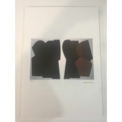 Lithographie Victor Vasarely 35x50 cm édition SPADEM