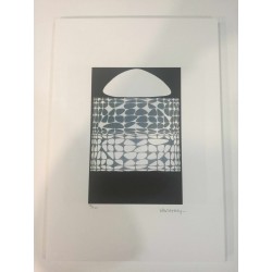 Victor Vasarely lithografie 35x50 cm SPADEM editie