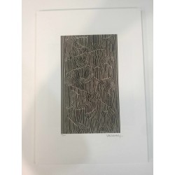 Victor Vasarely Lithographie 35x50 cm SPADEM Edition