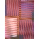 Victor Vasarely litografia cm 35x50 edizione SPADEM