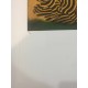 Victor Vasarely lithografie 35x50 cm SPADEM editie