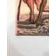 Divina Comedie Salvador Dali cm 50x70 ed. DALART