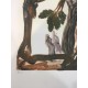 Salvador Dali Divina Commedia cm 50x70 ed. DALART