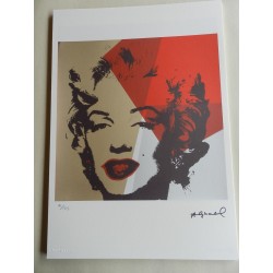 Andy Warhol Litografia ex. 125 cm 35x50