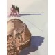 Salvador Dali Divine Comedy cm 50x70 ed. DALART