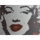 Andy Warhol Litografia ex. 125 cm 35x50