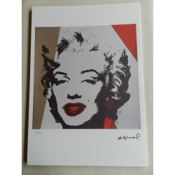 Andy Warhol Lithographie ex. 125 cm 35 x 50