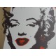 Andy Warhol Litografia ex. 125 cm 35x50