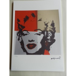 Andy Warhol Litografia ex. 125 cm 35x50