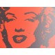 Andy Warhol Litografia ex. 125 cm 35x50