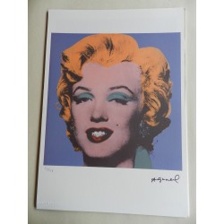 Andy Warhol Lithographie ex. 125 cm 35 x 50