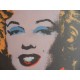 Andy Warhol Litografia ex. 125 cm 35x50