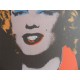 Andy Warhol Litografia ex. 125 cm 35x50