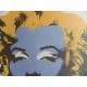 Andy Warhol Lithographie ex. 125 cm 35 x 50